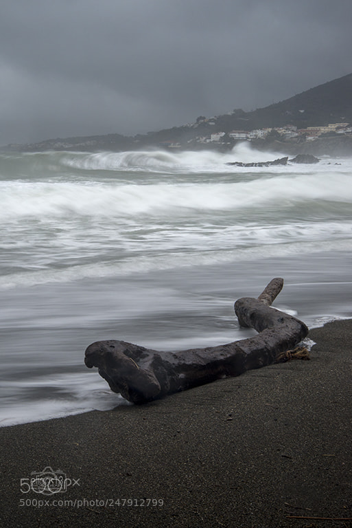 Nikon D610 sample photo. Llevantada photography