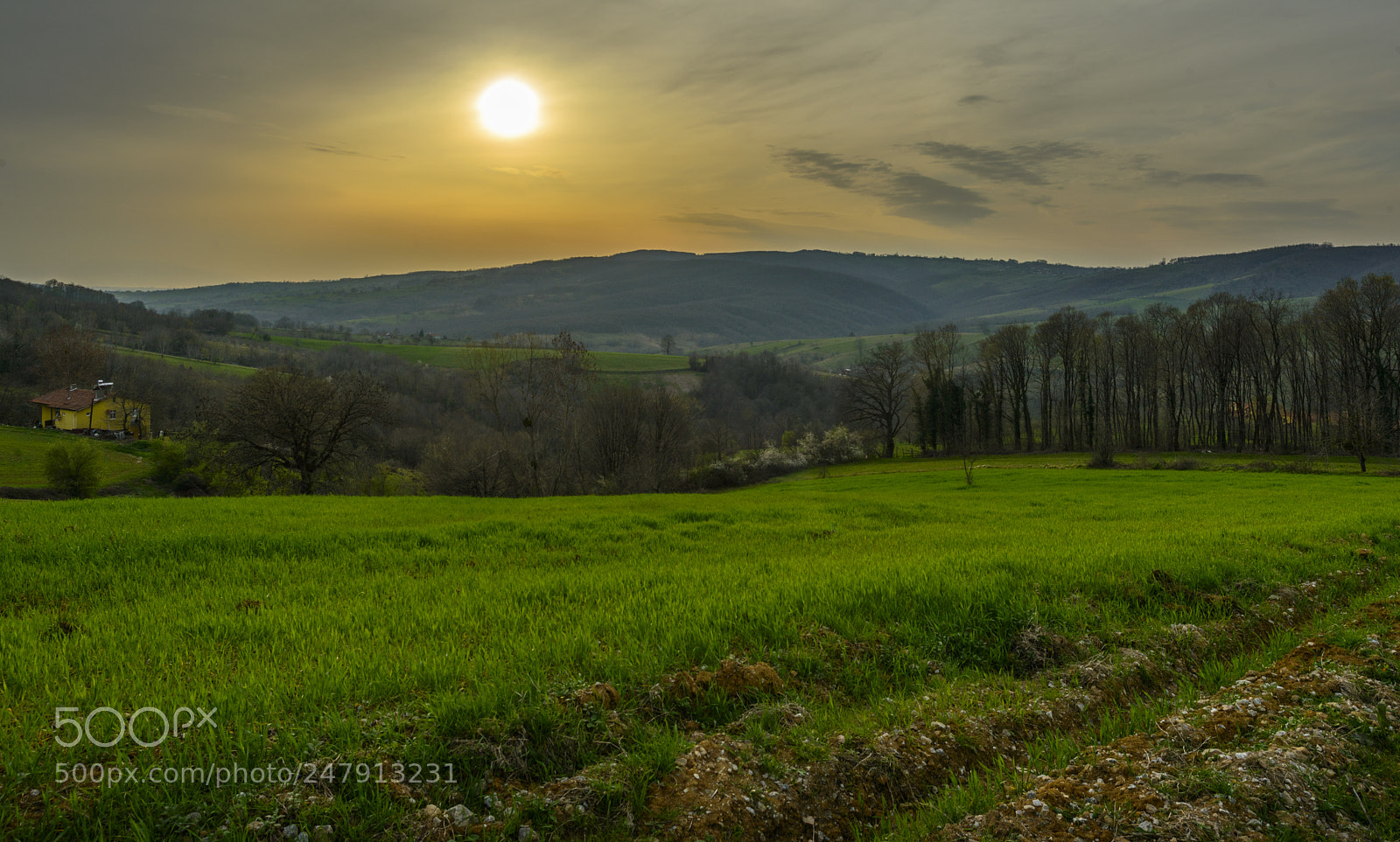 Nikon D800E sample photo. Sunset in rural.... photography