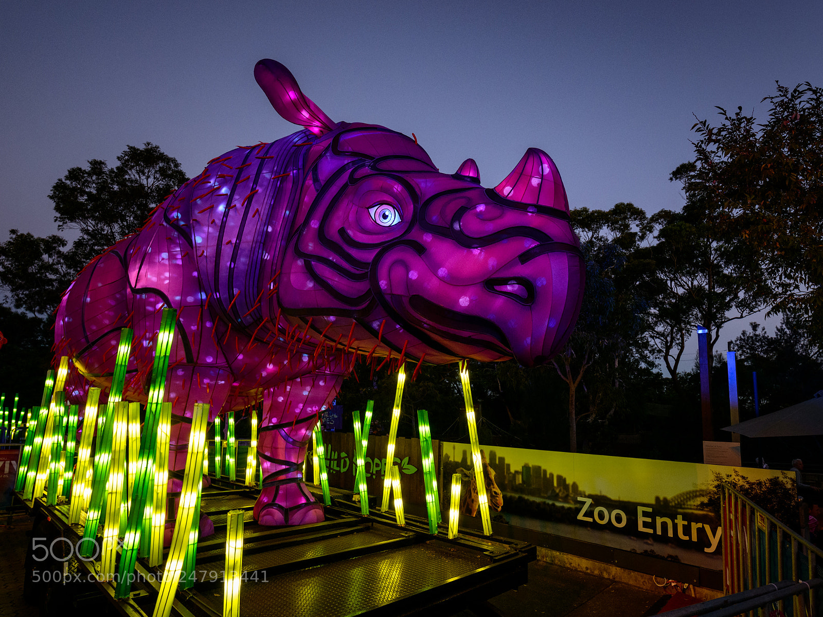 Nikon D800 sample photo. Vivid lights festival at photography
