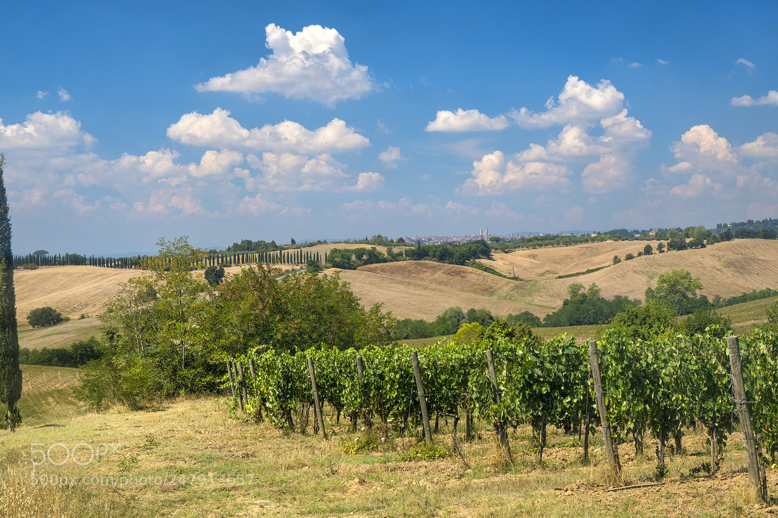 Fujifilm X-T2 sample photo. Summer landscape in the photography