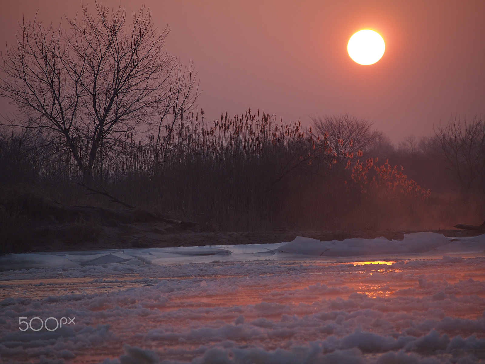 Olympus PEN E-P3 sample photo. -14ºc photography