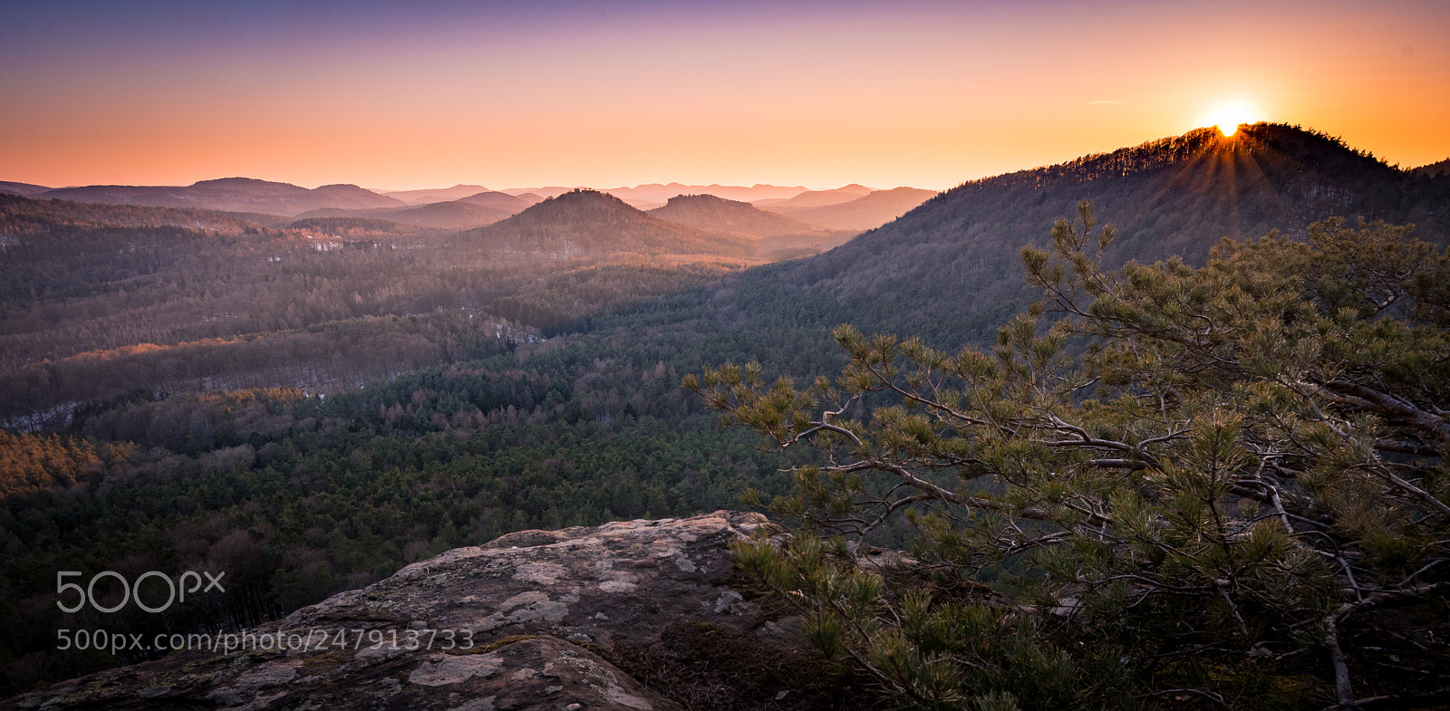 Nikon D7200 sample photo. Palatinate sundown photography