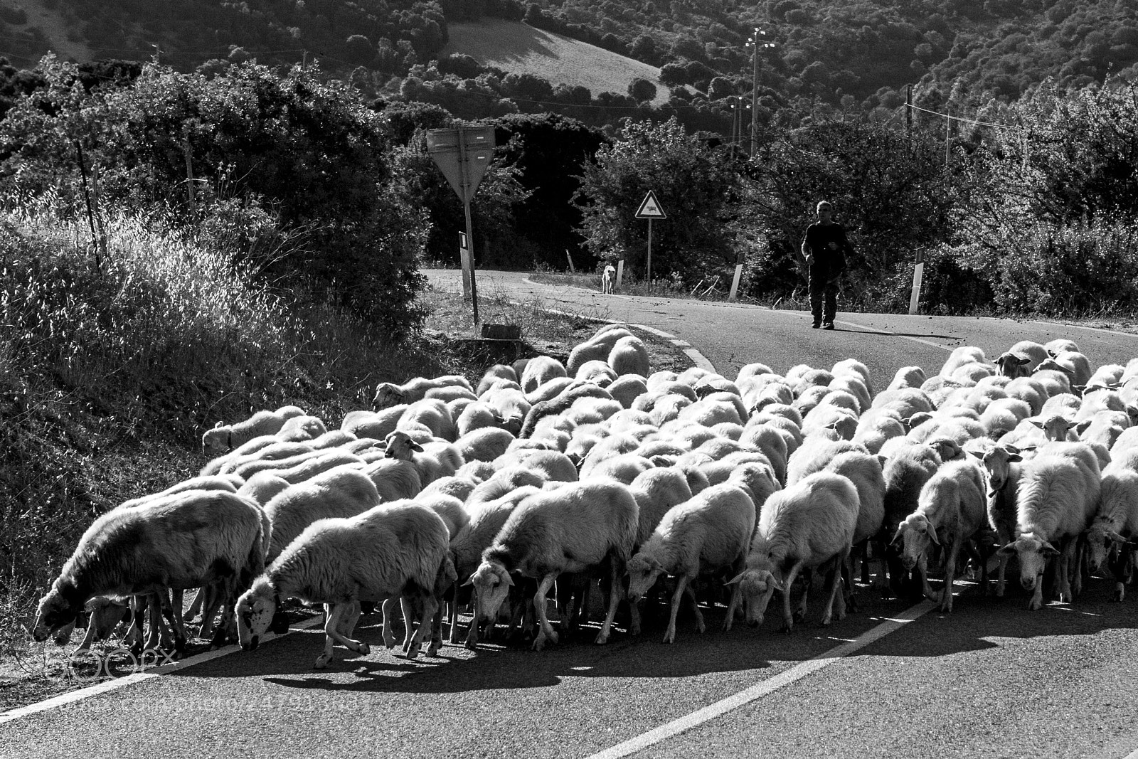 Canon PowerShot G1 X Mark II sample photo. Sardegna, capitolo iii photography