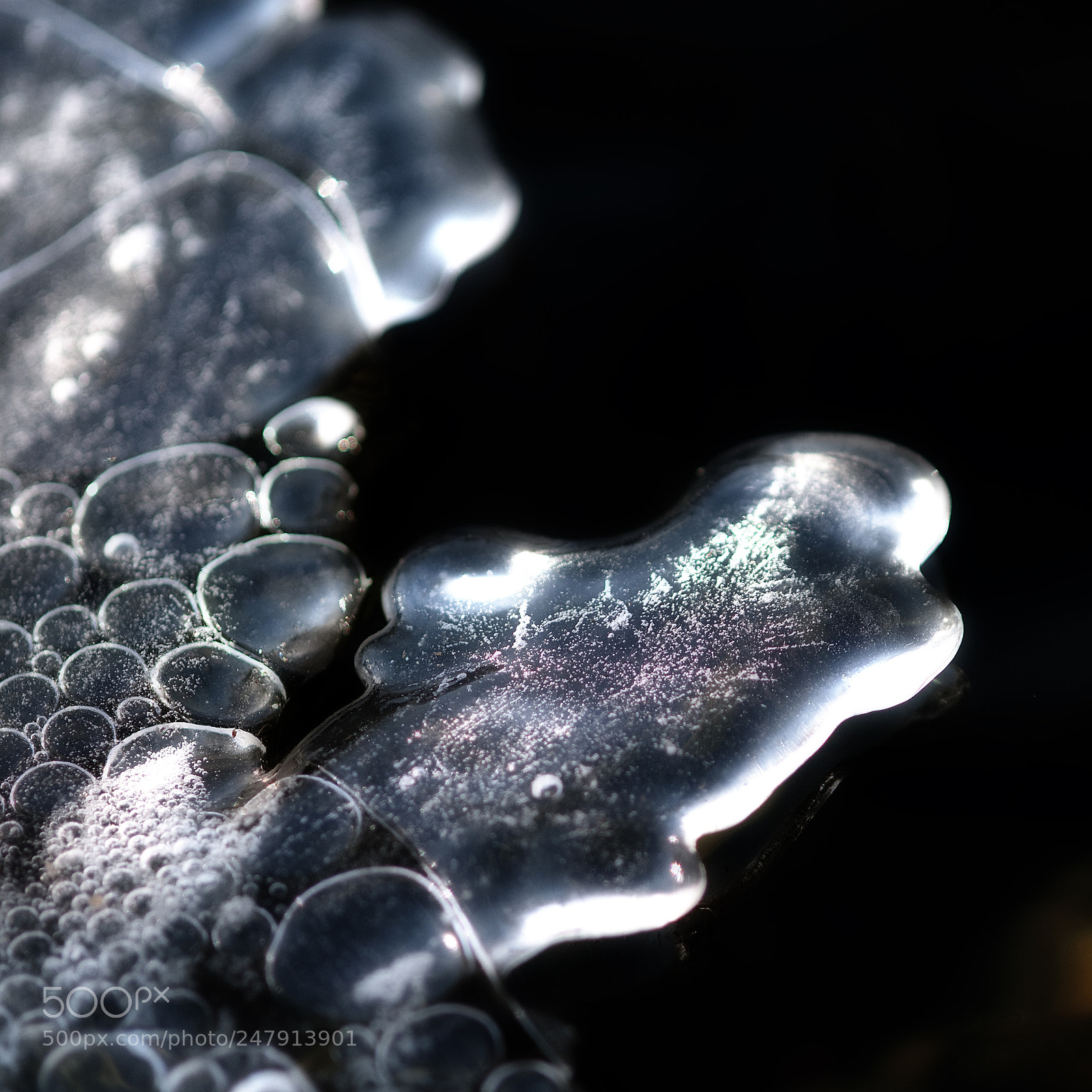 Nikon D300 sample photo. Frozen serie photography