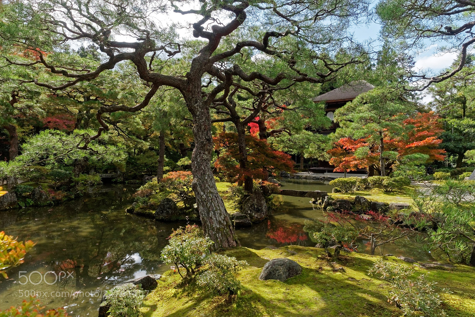 Panasonic Lumix DC-GH5 sample photo. Fall in japan () photography