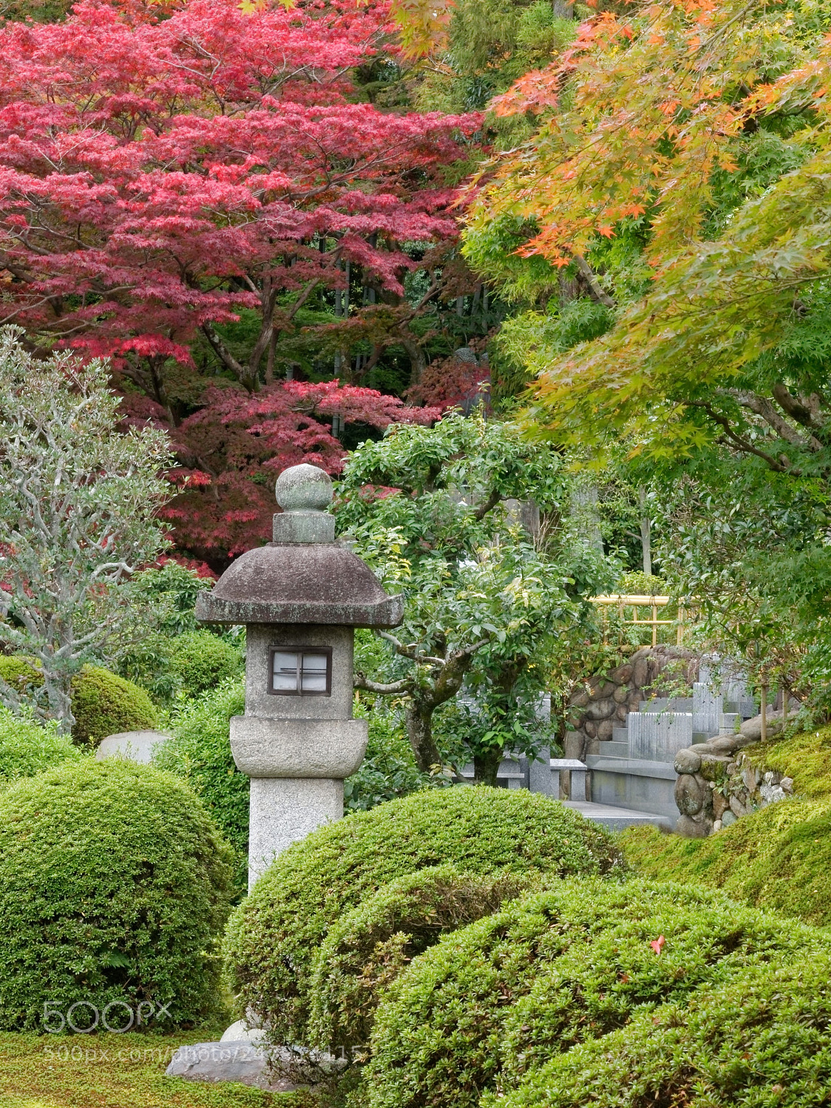 Panasonic Lumix DC-GH5 sample photo. Fall in japan photography