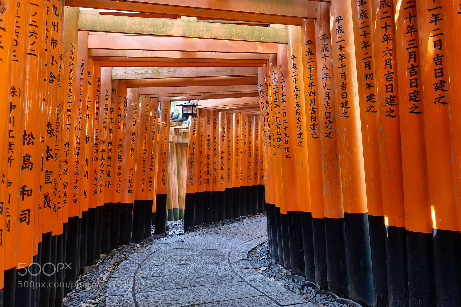 Panasonic Lumix DC-GH5 sample photo. Fall in japan photography