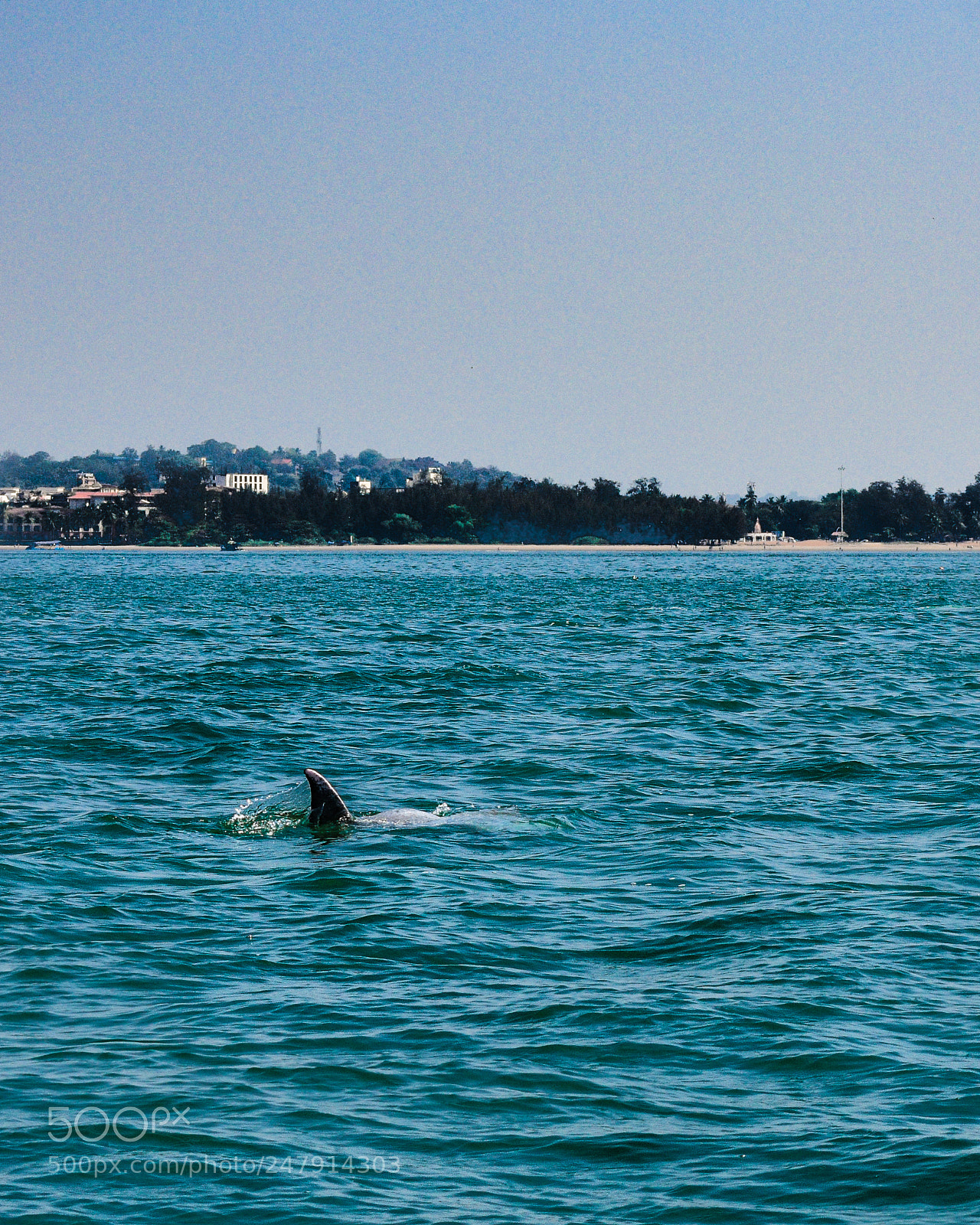 Nikon D3400 sample photo. Coco beach, goa, india photography
