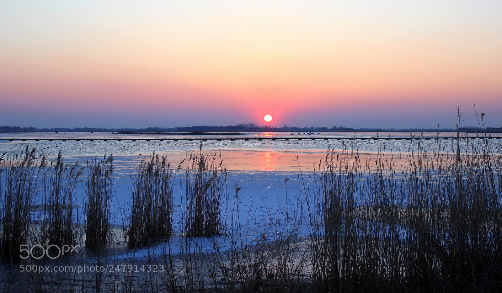 Canon EOS 600D (Rebel EOS T3i / EOS Kiss X5) sample photo. A cold winter's day photography