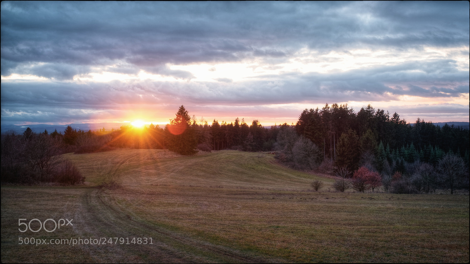 Fujifilm FinePix X100 sample photo. Sunset over the sumava photography