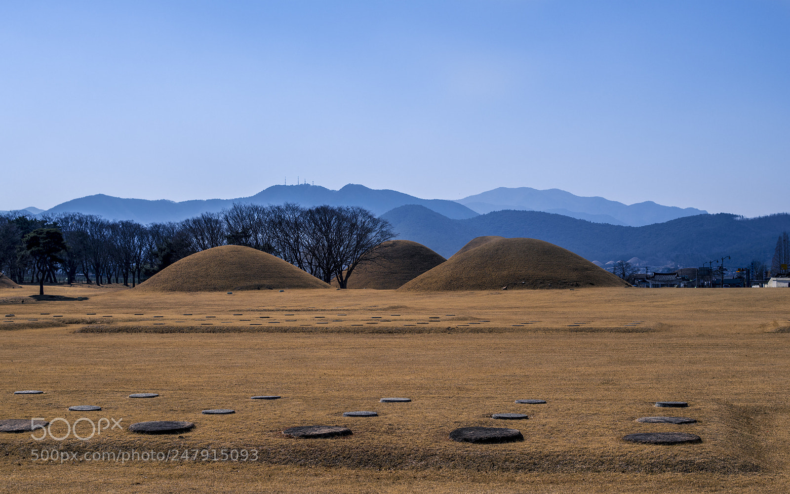 Nikon D850 sample photo. Untitled photography