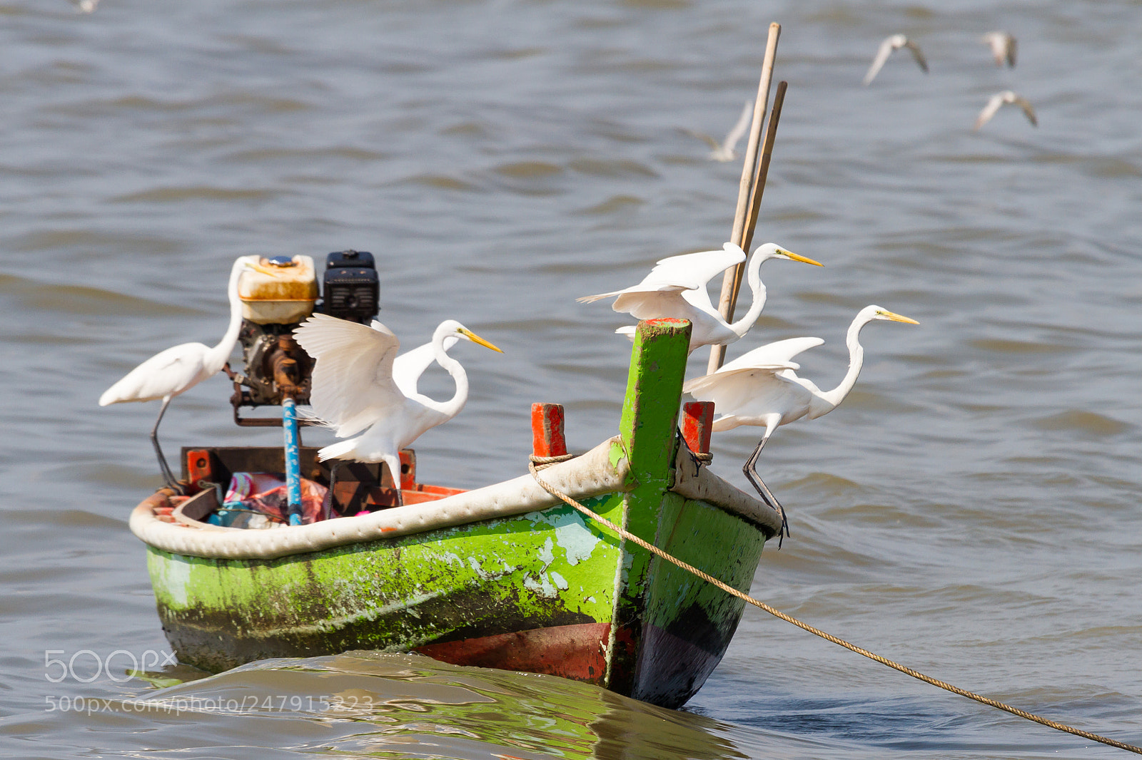 Canon EOS 7D sample photo. Fishermans photography