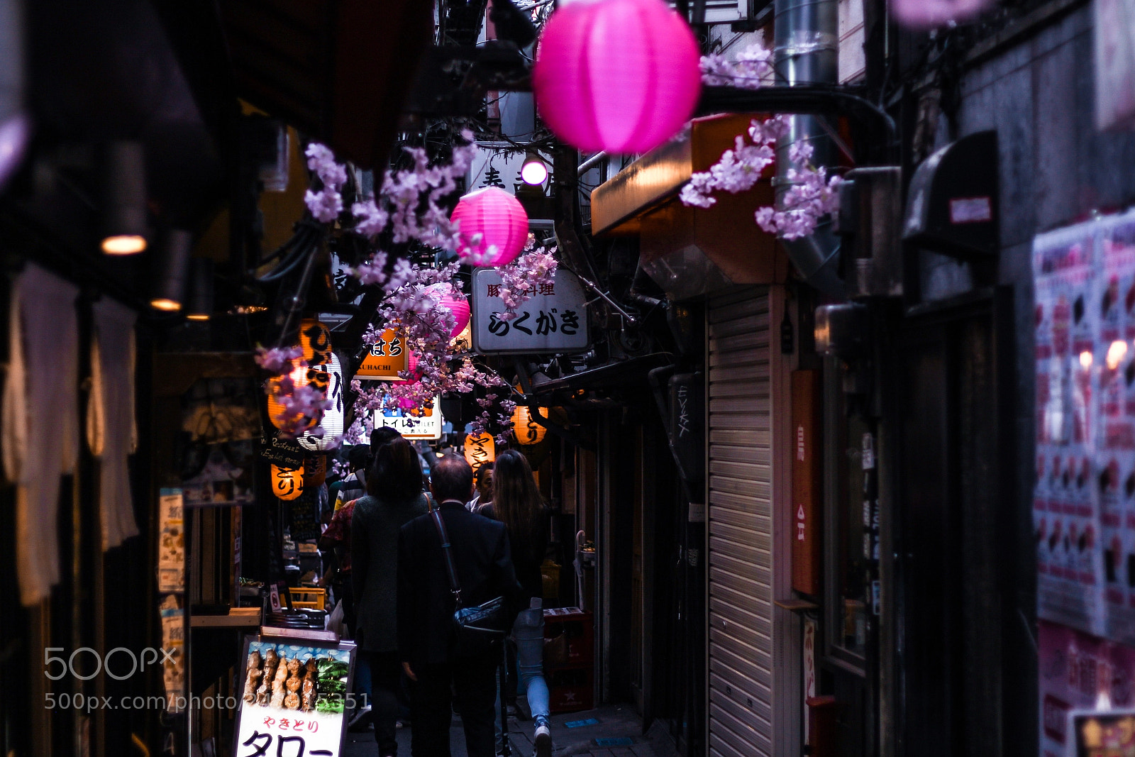 Canon EOS 650D (EOS Rebel T4i / EOS Kiss X6i) sample photo. Alleyway in shinjuku photography