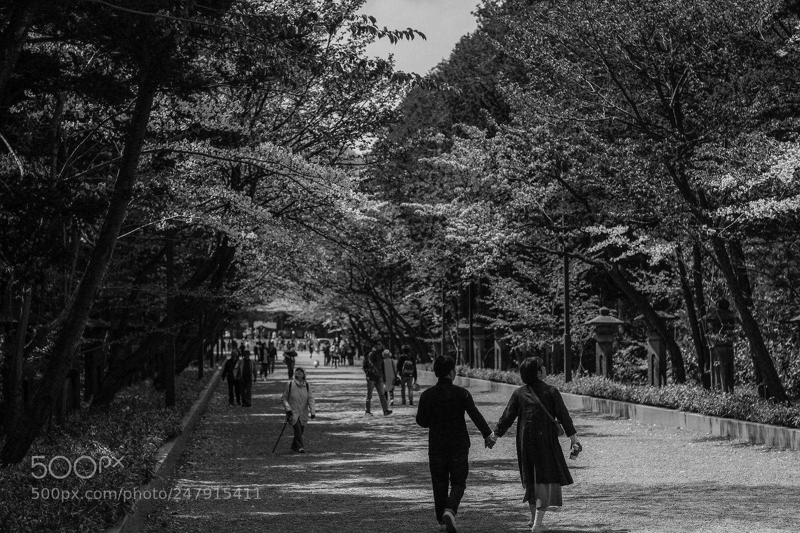 Canon EOS 650D (EOS Rebel T4i / EOS Kiss X6i) sample photo. Road to temple in photography