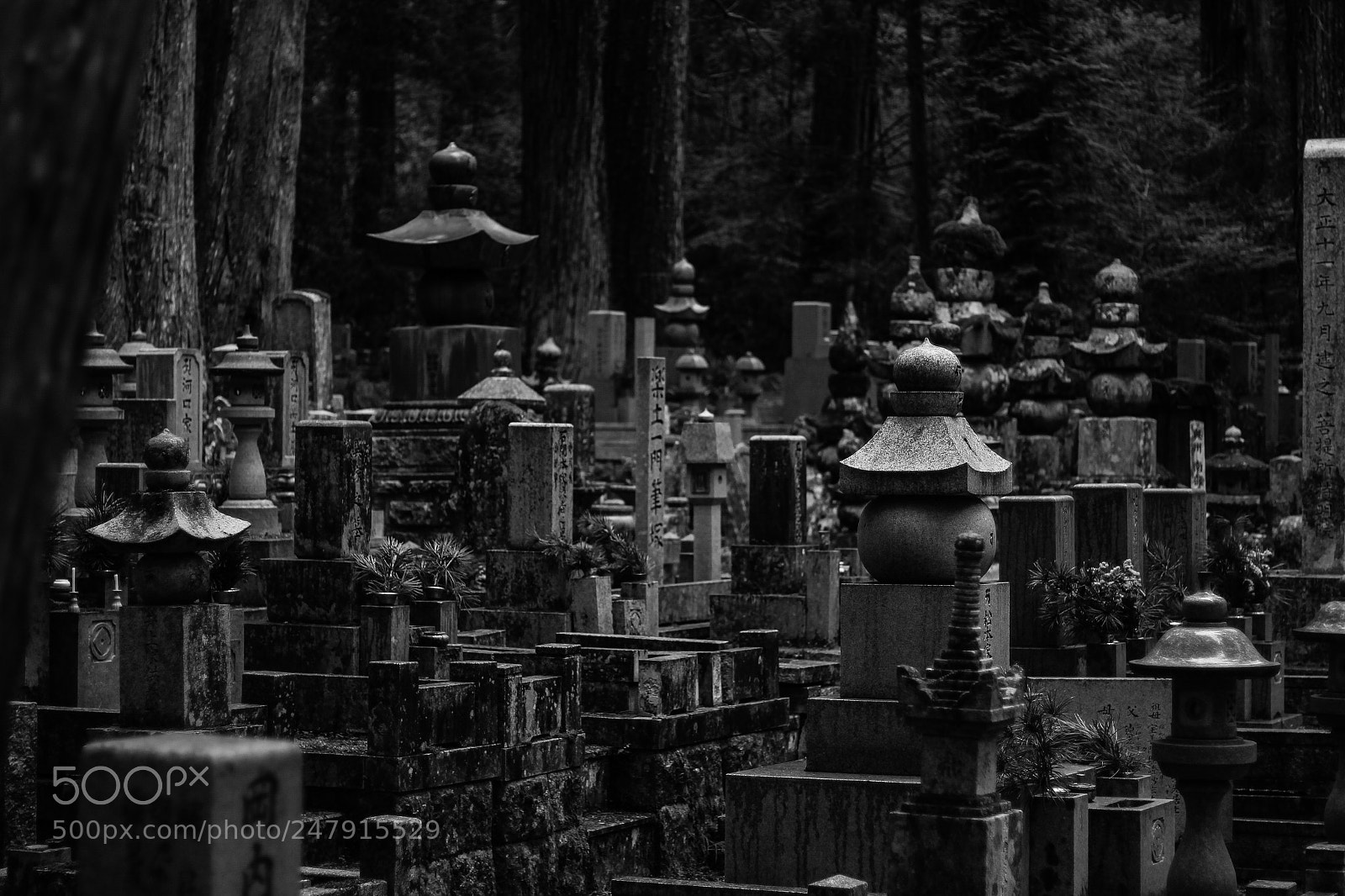 Canon EOS 650D (EOS Rebel T4i / EOS Kiss X6i) sample photo. Graves photography