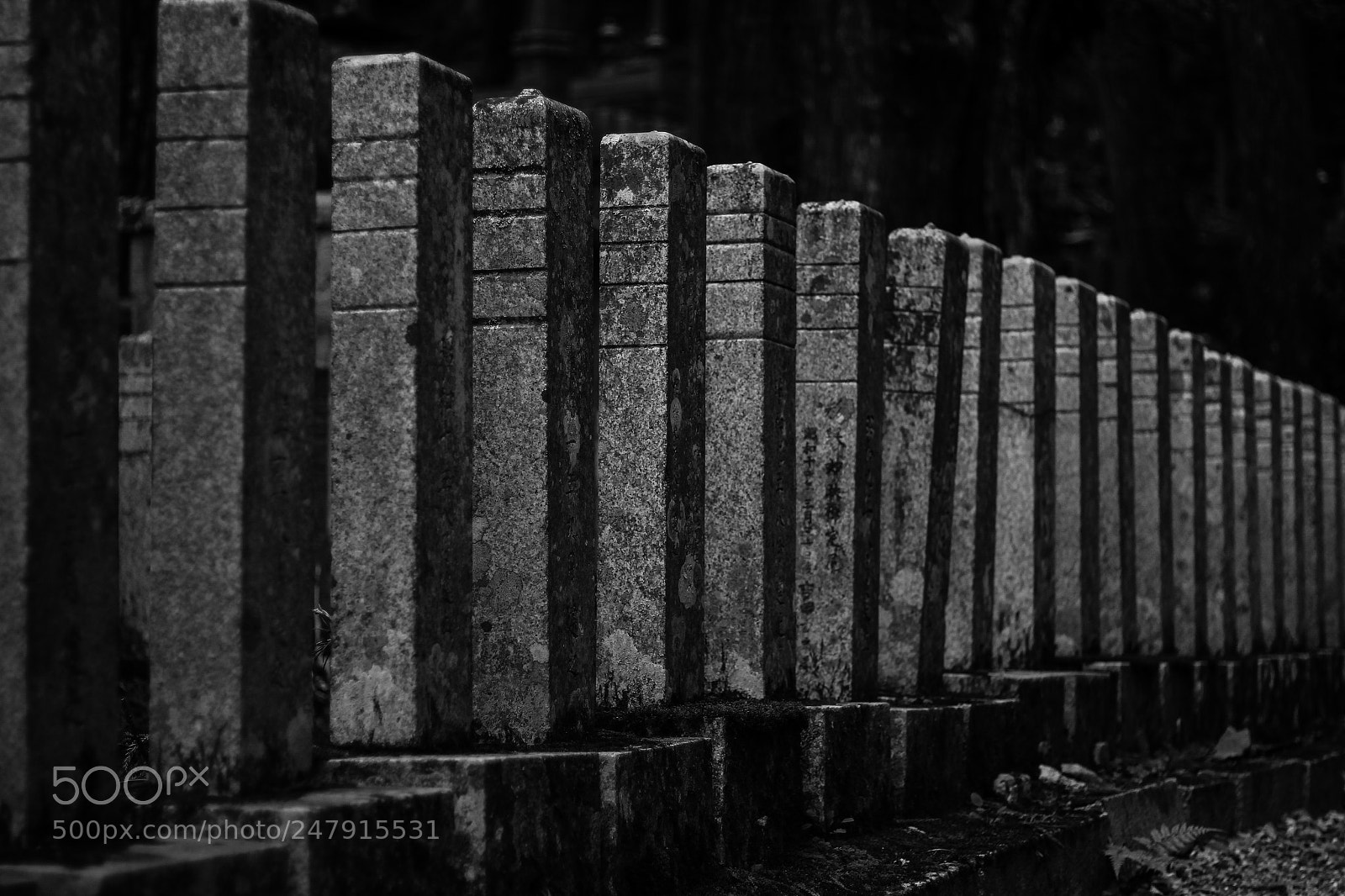 Canon EOS 650D (EOS Rebel T4i / EOS Kiss X6i) sample photo. Grave pillars photography