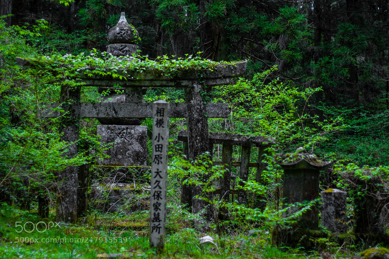 Canon EOS 650D (EOS Rebel T4i / EOS Kiss X6i) sample photo. Desolate grave photography