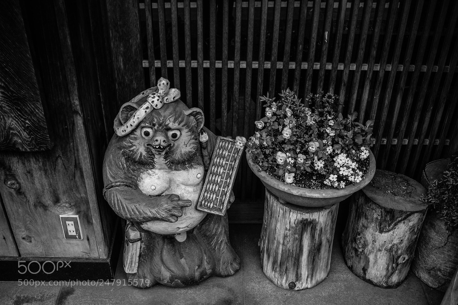Canon EOS 650D (EOS Rebel T4i / EOS Kiss X6i) sample photo. Tanuki and flowers photography