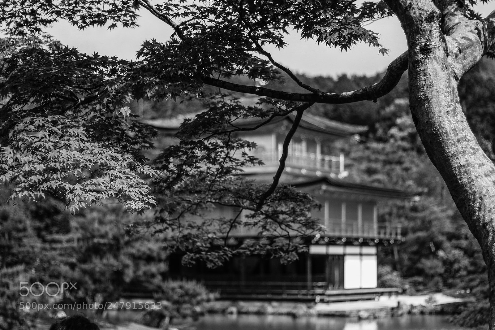 Canon EOS 650D (EOS Rebel T4i / EOS Kiss X6i) sample photo. Golden pavillion, kyoto photography