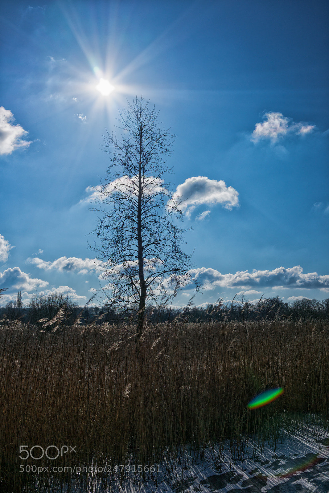 Sony Cyber-shot DSC-RX1R II sample photo. Dutch landscape photography