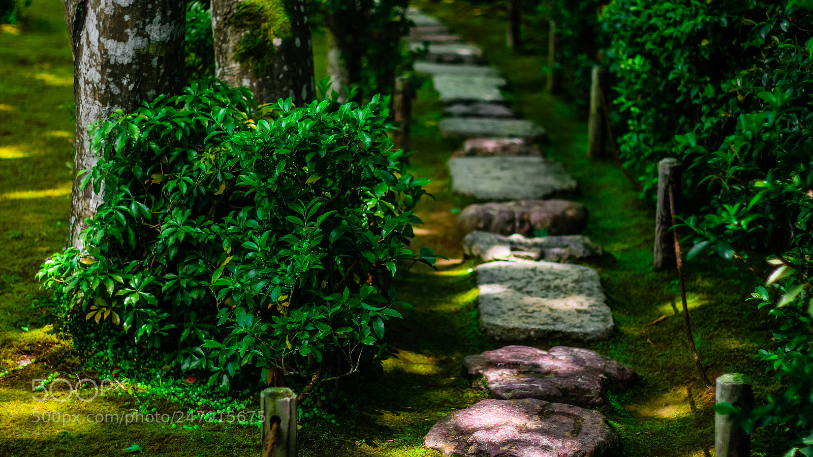Canon EOS 650D (EOS Rebel T4i / EOS Kiss X6i) sample photo. Path to temple photography