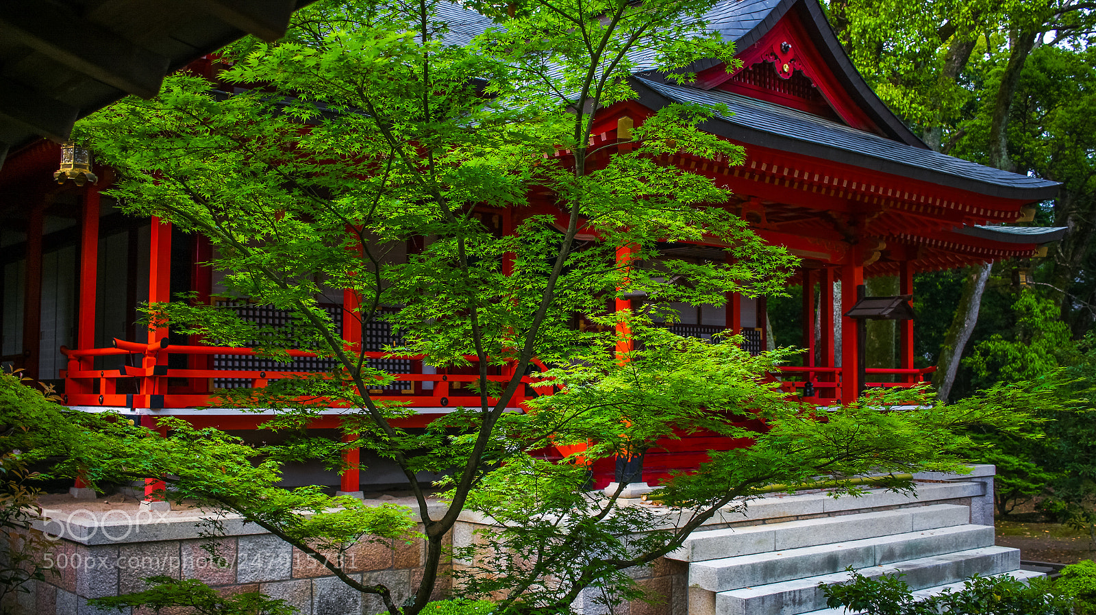 Canon EOS 650D (EOS Rebel T4i / EOS Kiss X6i) sample photo. Daikaku-ji temple photography