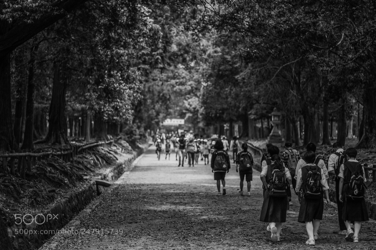 Canon EOS 650D (EOS Rebel T4i / EOS Kiss X6i) sample photo. School excursion to nara photography