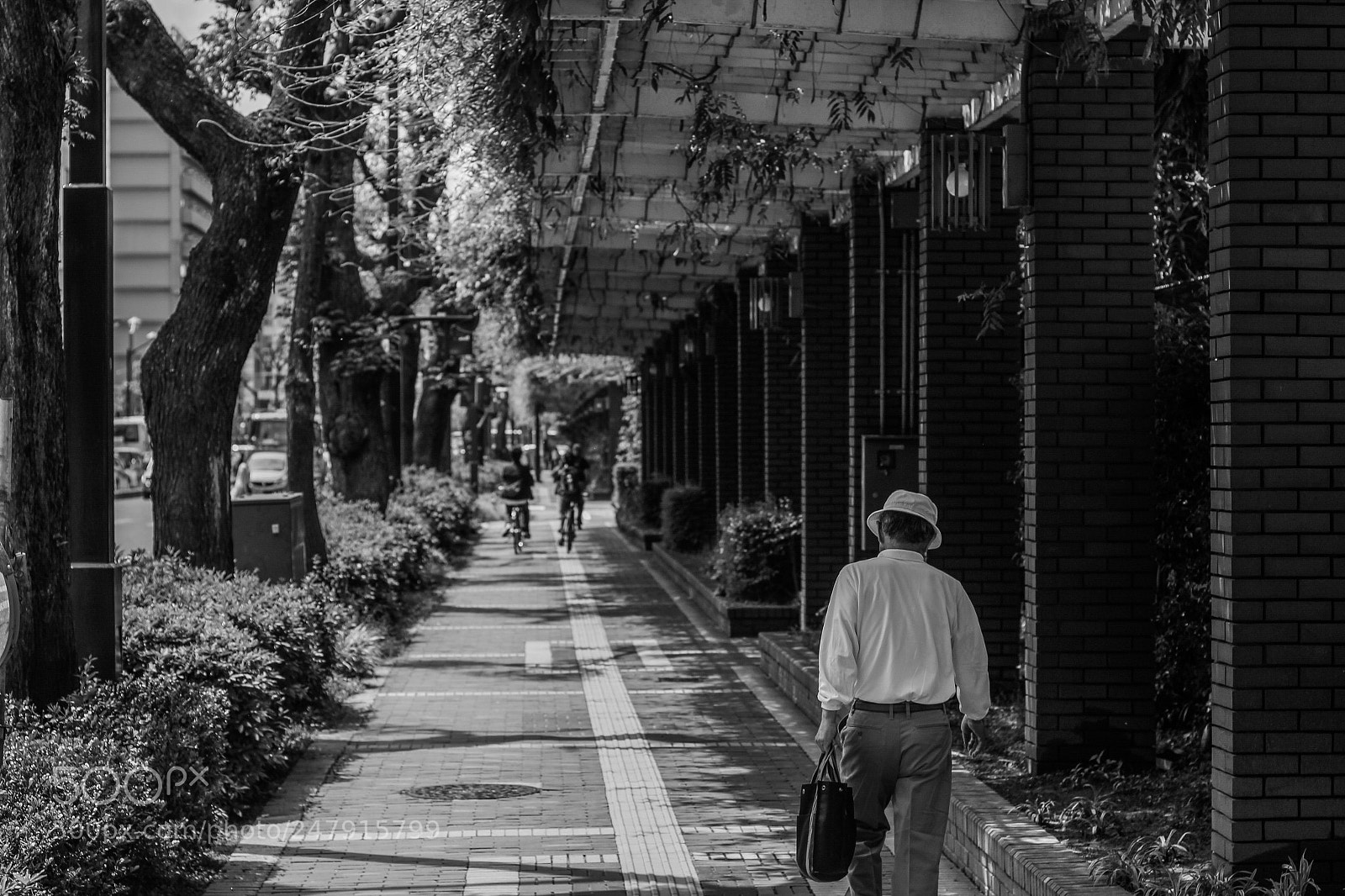 Canon EOS 650D (EOS Rebel T4i / EOS Kiss X6i) sample photo. Walking to work photography