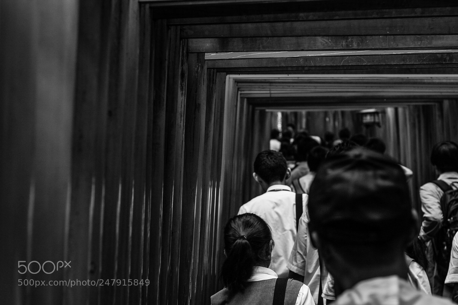 Canon EOS 650D (EOS Rebel T4i / EOS Kiss X6i) sample photo. Pilgrimage to fushimi inari photography