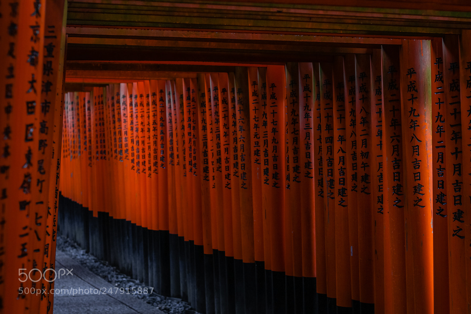Canon EOS 650D (EOS Rebel T4i / EOS Kiss X6i) sample photo. Fushimi inari torii photography