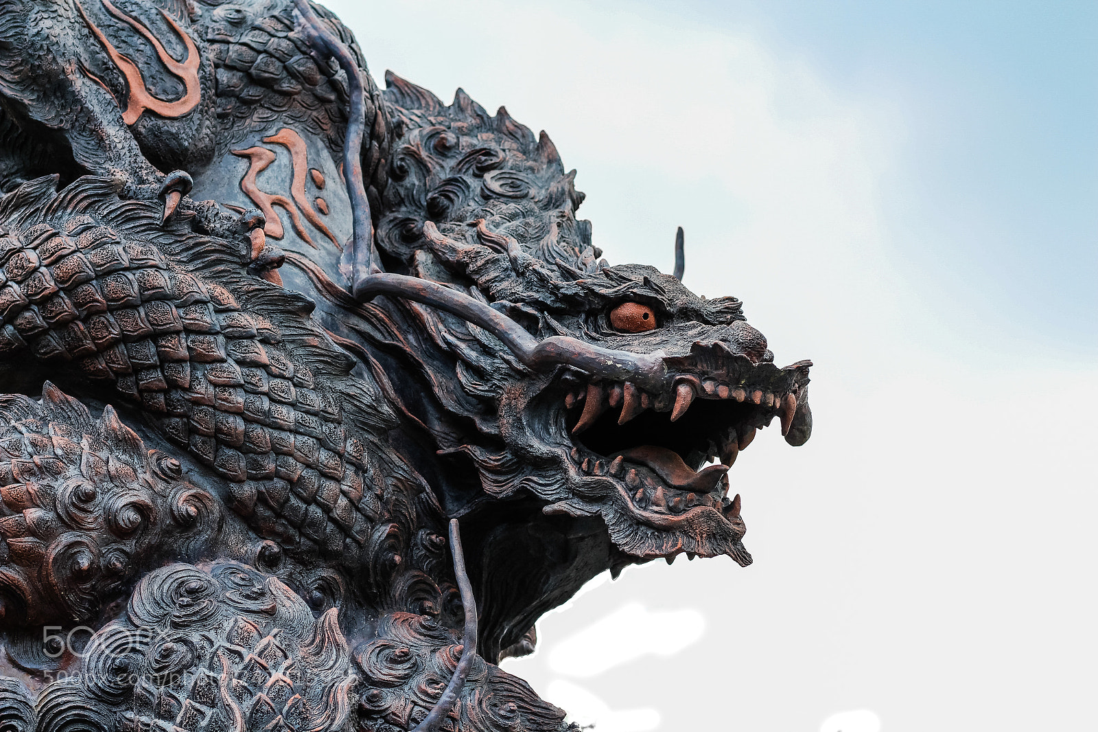 Canon EOS 650D (EOS Rebel T4i / EOS Kiss X6i) sample photo. Dragon photography