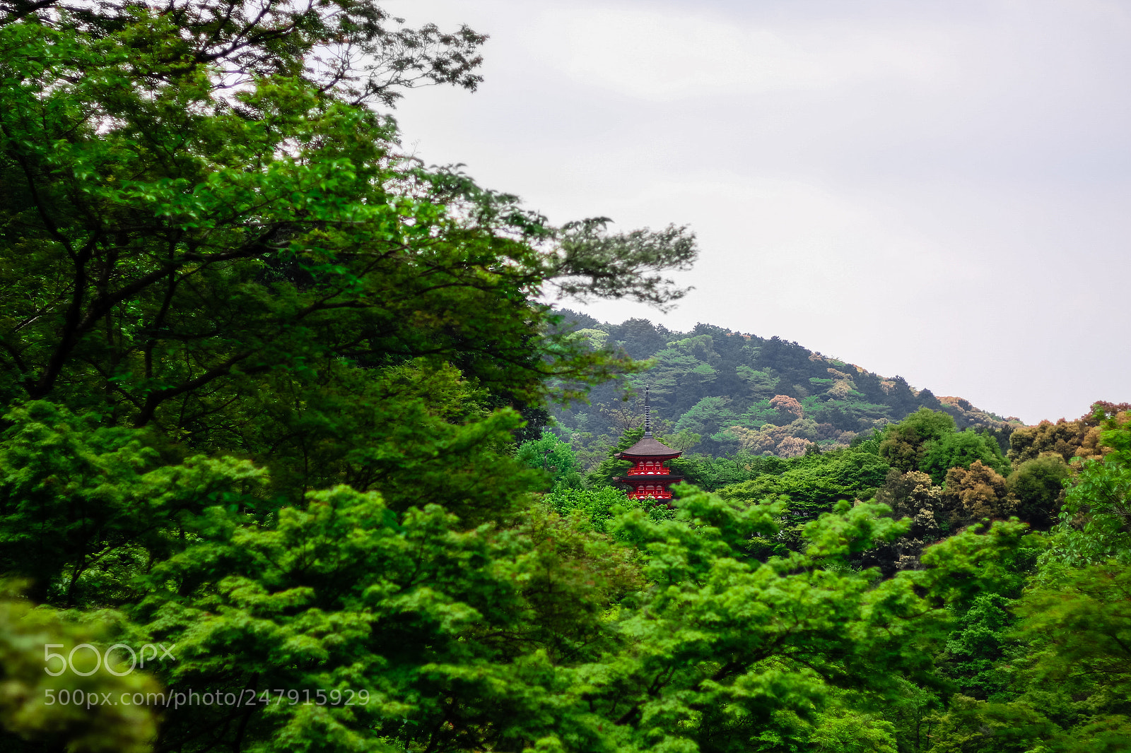 Canon EOS 650D (EOS Rebel T4i / EOS Kiss X6i) sample photo. Distant pagoda photography