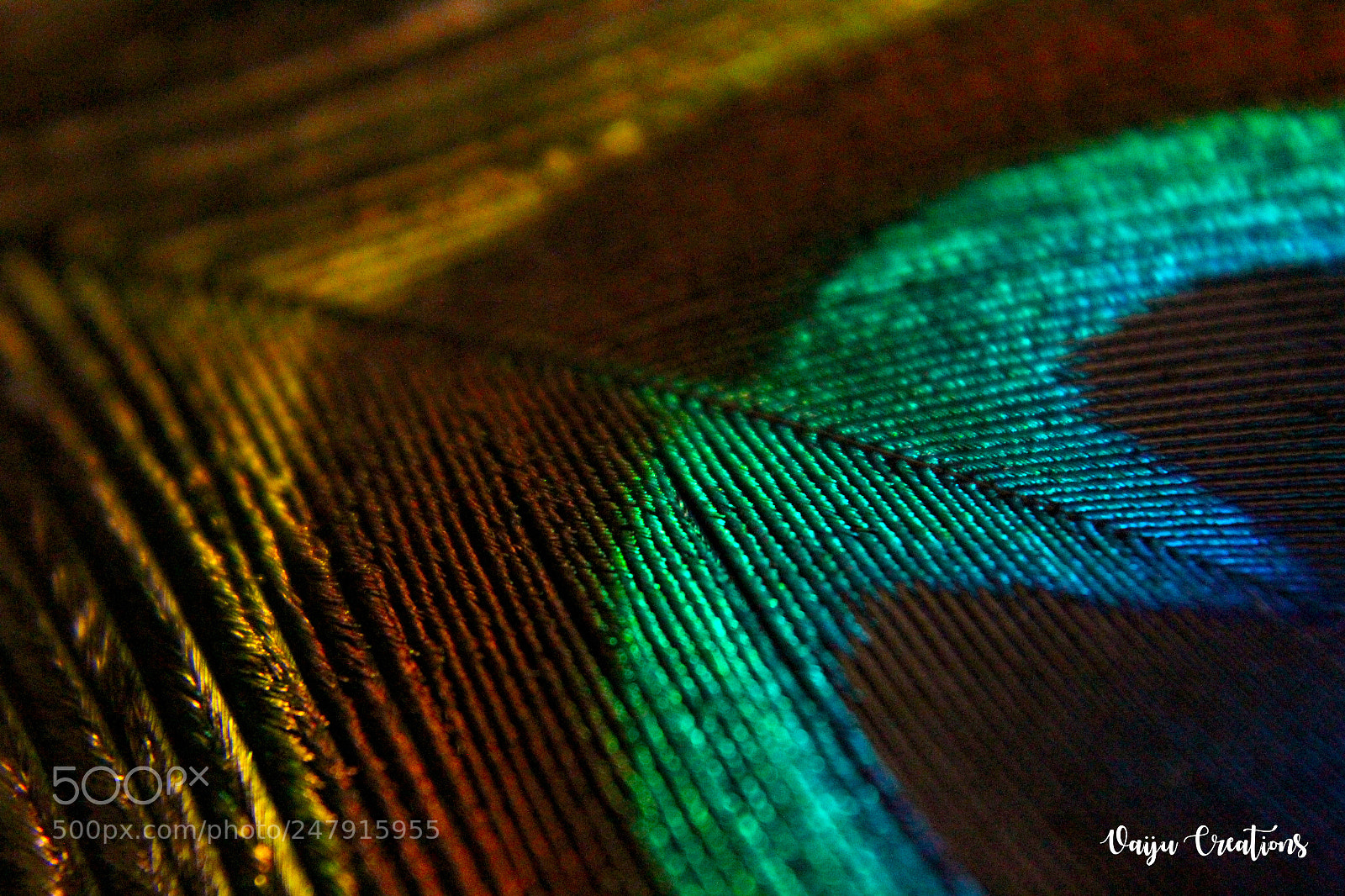 Canon EOS 1200D (EOS Rebel T5 / EOS Kiss X70 / EOS Hi) sample photo. Nature's embroidery - peacock photography