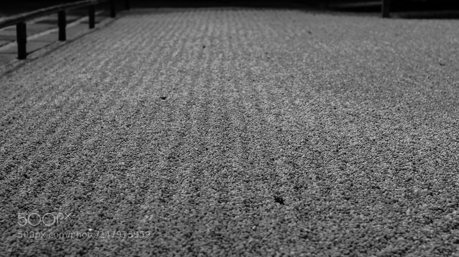 Canon EOS 650D (EOS Rebel T4i / EOS Kiss X6i) sample photo. Zen garden in toji photography