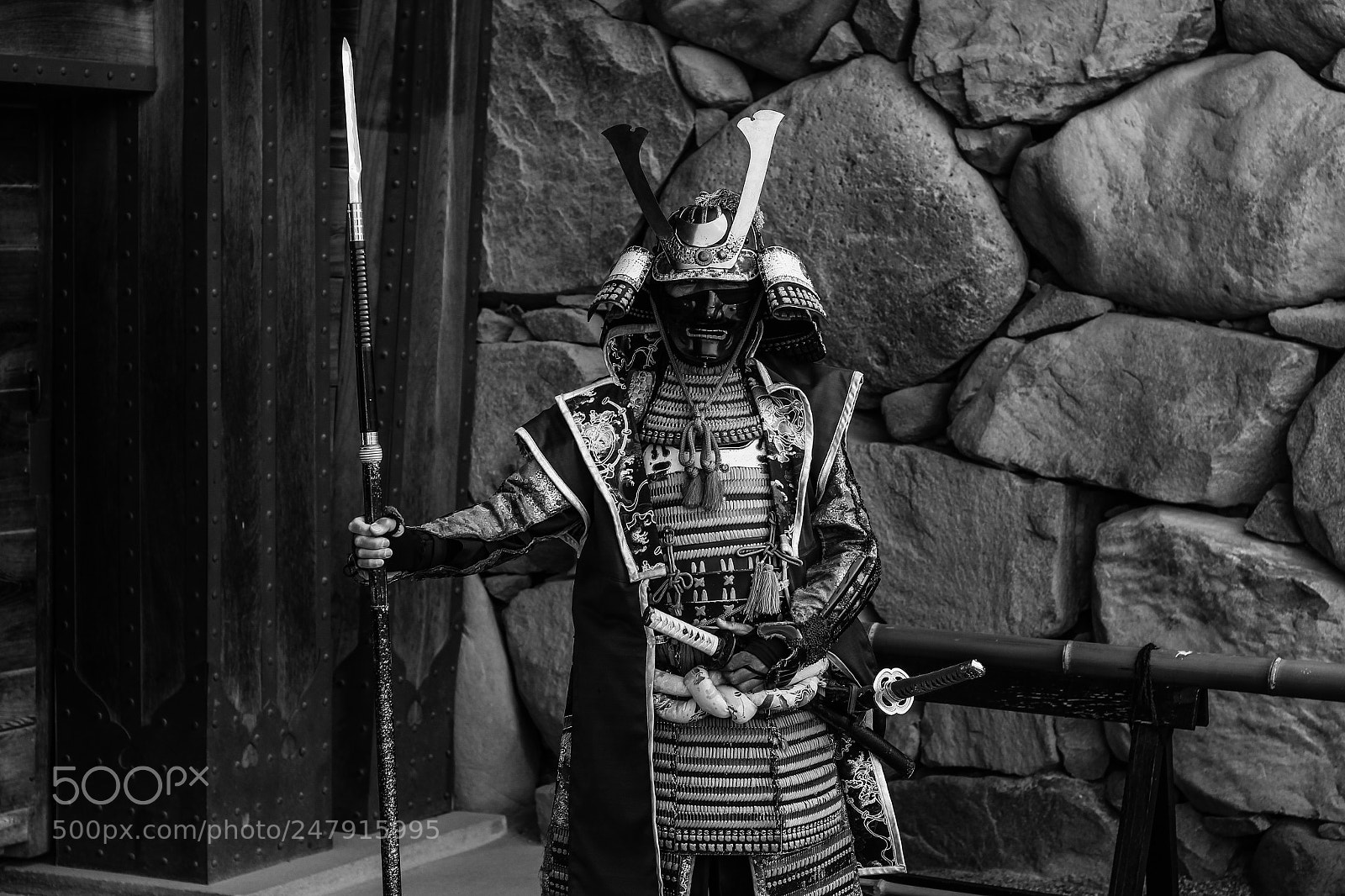 Canon EOS 650D (EOS Rebel T4i / EOS Kiss X6i) sample photo. Samurai of matsumoto castle photography