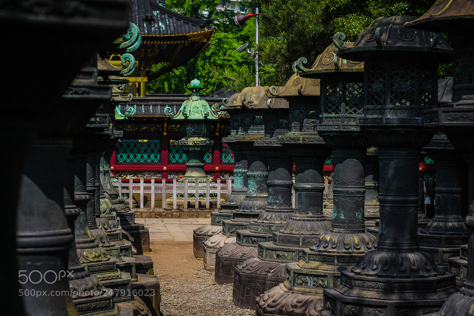 Canon EOS 650D (EOS Rebel T4i / EOS Kiss X6i) sample photo. Ueno toshugo shrine photography