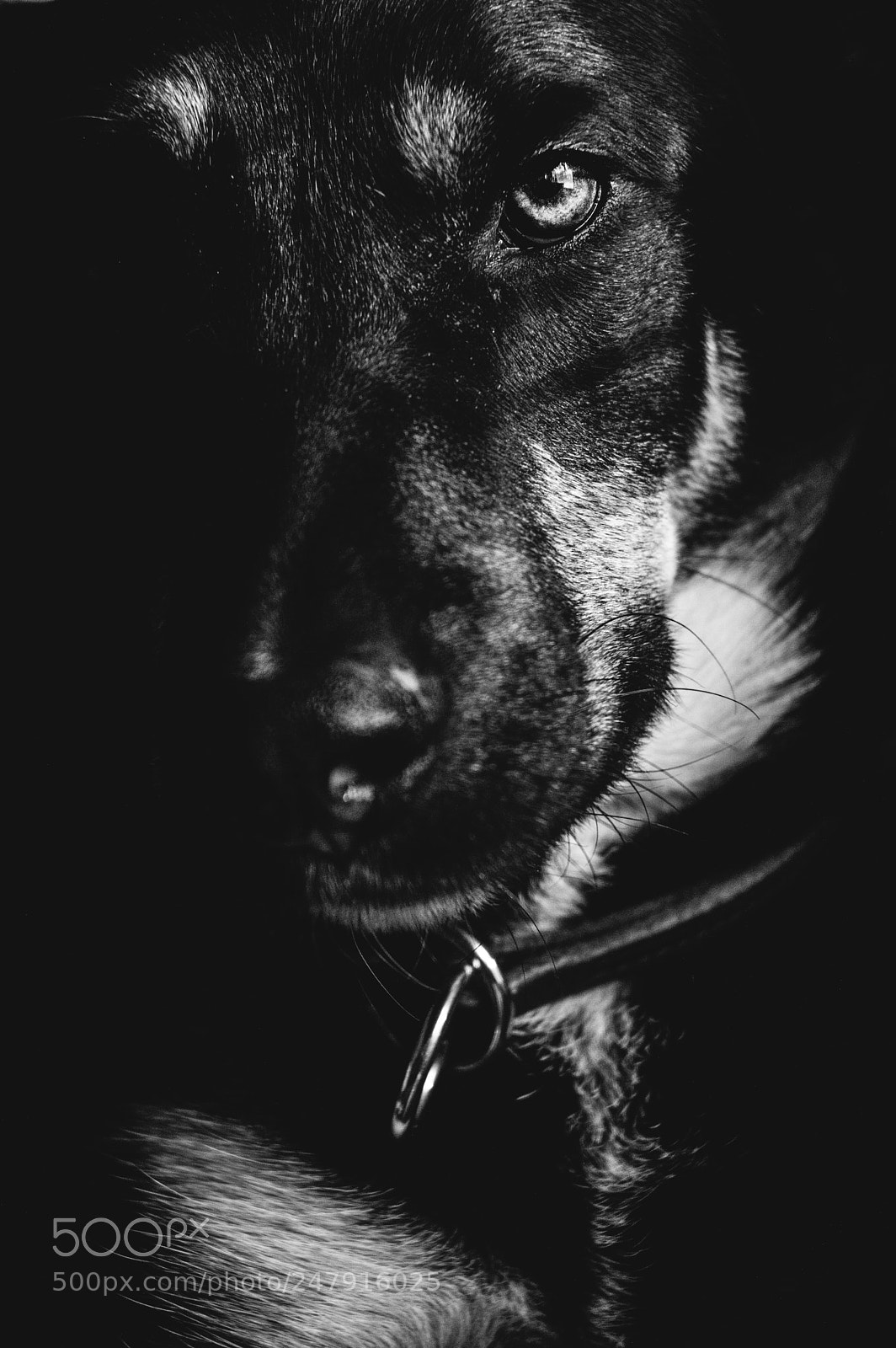Nikon D3200 sample photo. In the shadows photography