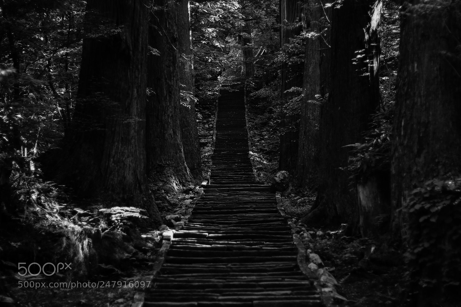 Canon EOS 650D (EOS Rebel T4i / EOS Kiss X6i) sample photo. Path to mt haguro photography