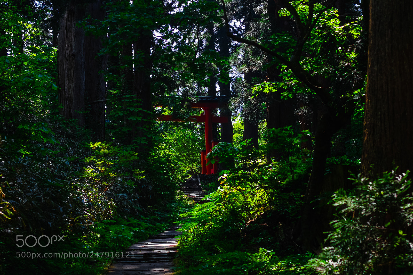 Canon EOS 650D (EOS Rebel T4i / EOS Kiss X6i) sample photo. Path to shrine photography