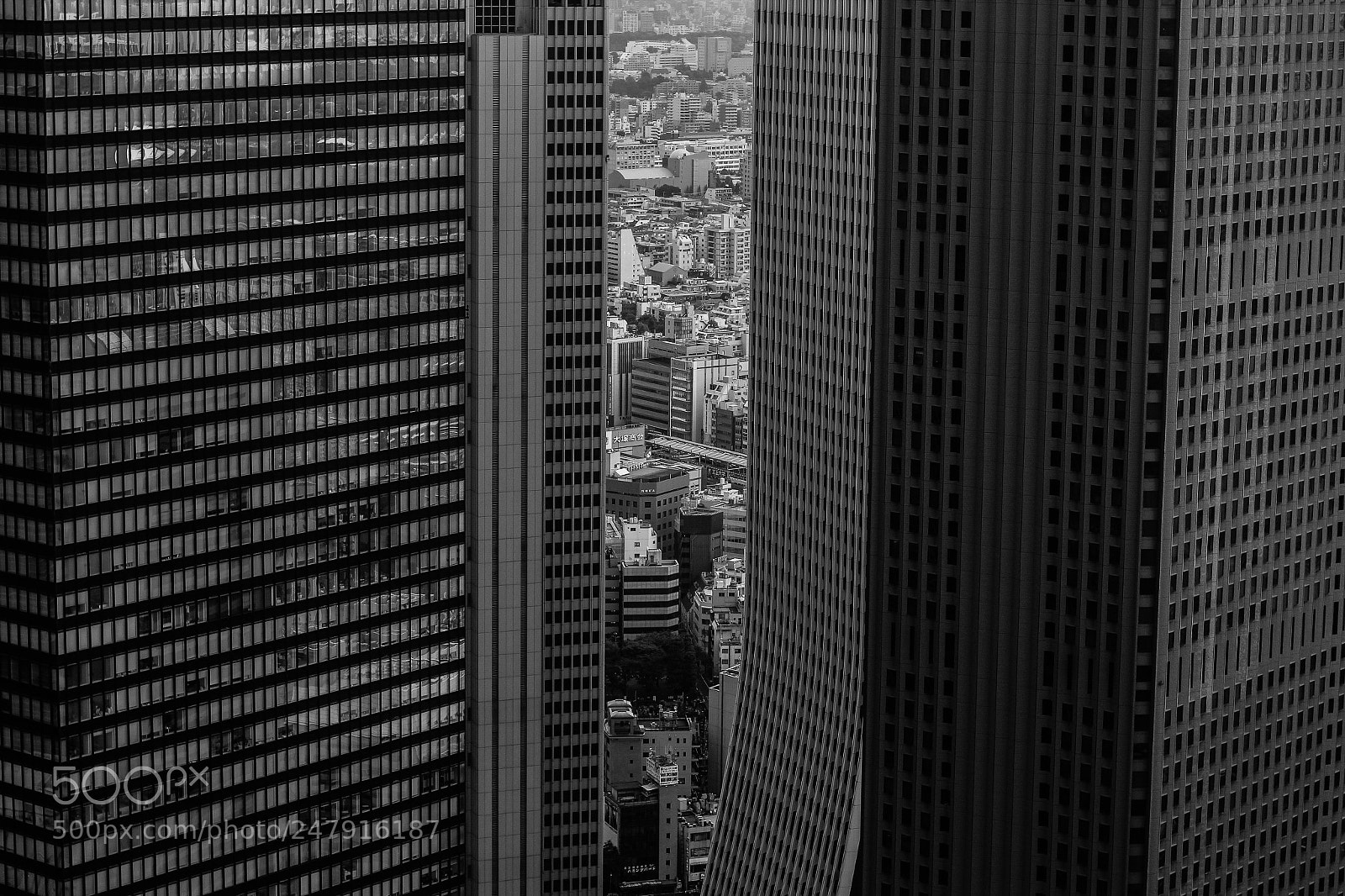Canon EOS 650D (EOS Rebel T4i / EOS Kiss X6i) sample photo. Amongst giants photography