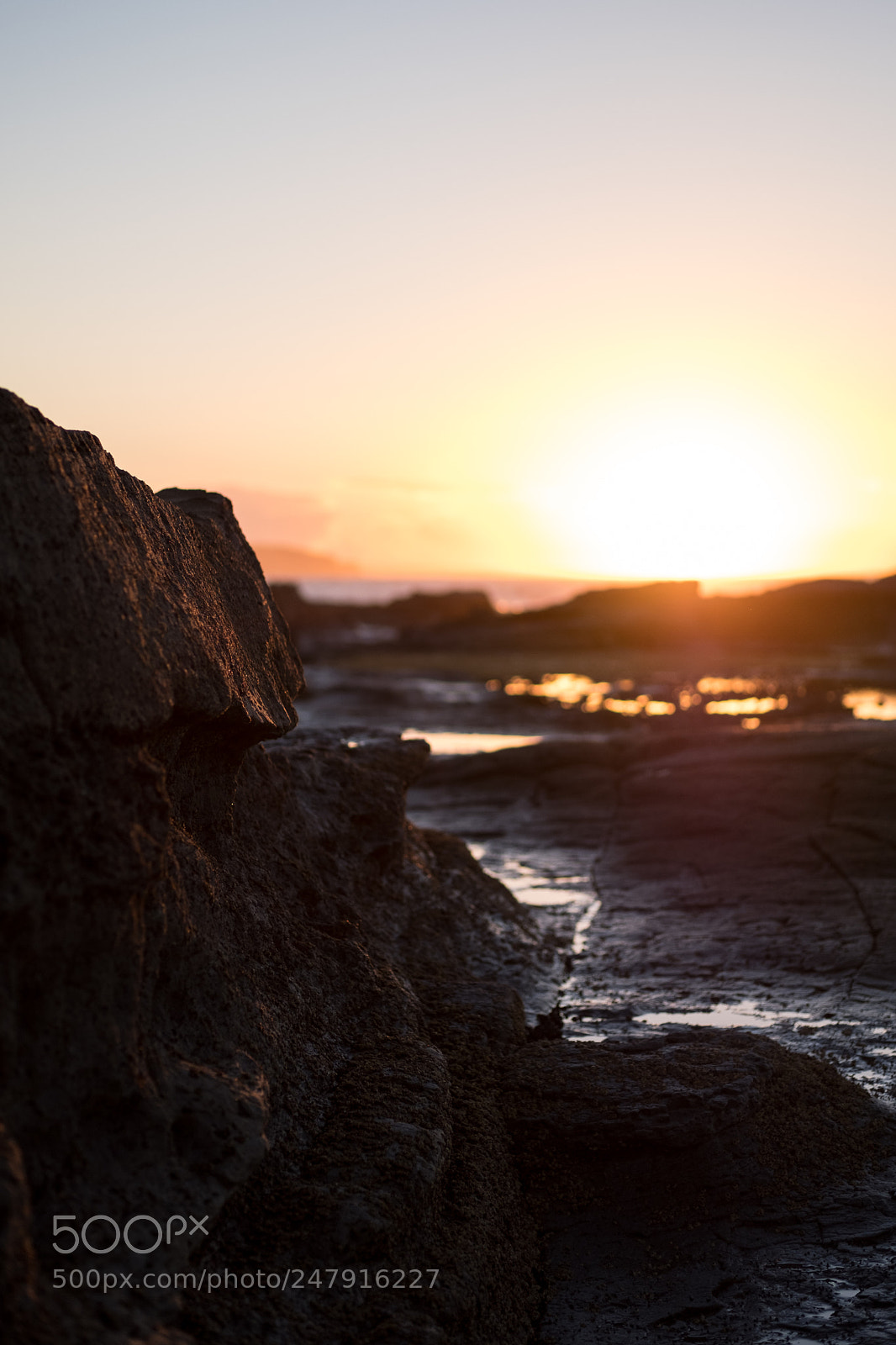 Fujifilm X-T2 sample photo. Forever chasing the sun photography