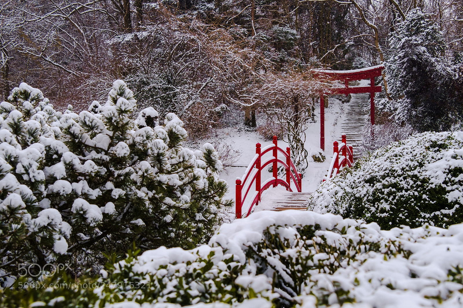 Fujifilm X-Pro1 sample photo. Japanese garden photography
