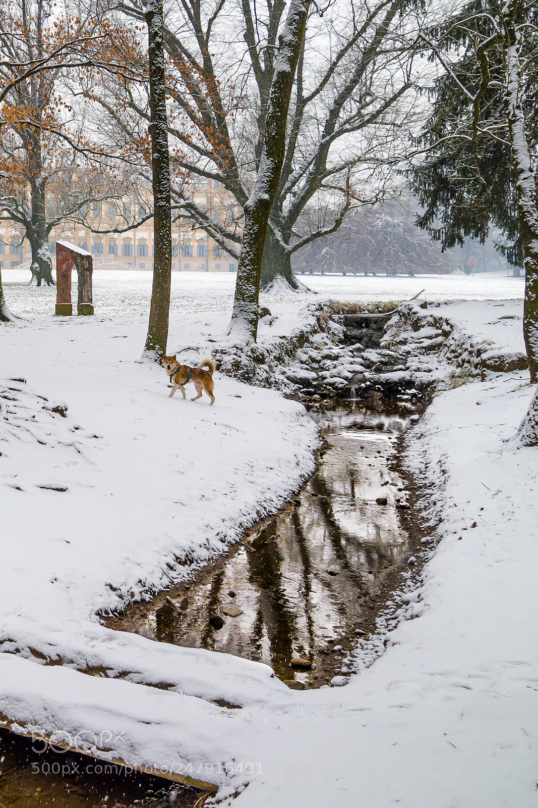 Nikon D7100 sample photo. Parco di monza photography