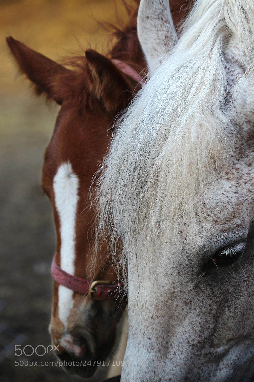 Canon EOS 650D (EOS Rebel T4i / EOS Kiss X6i) sample photo. New life photography