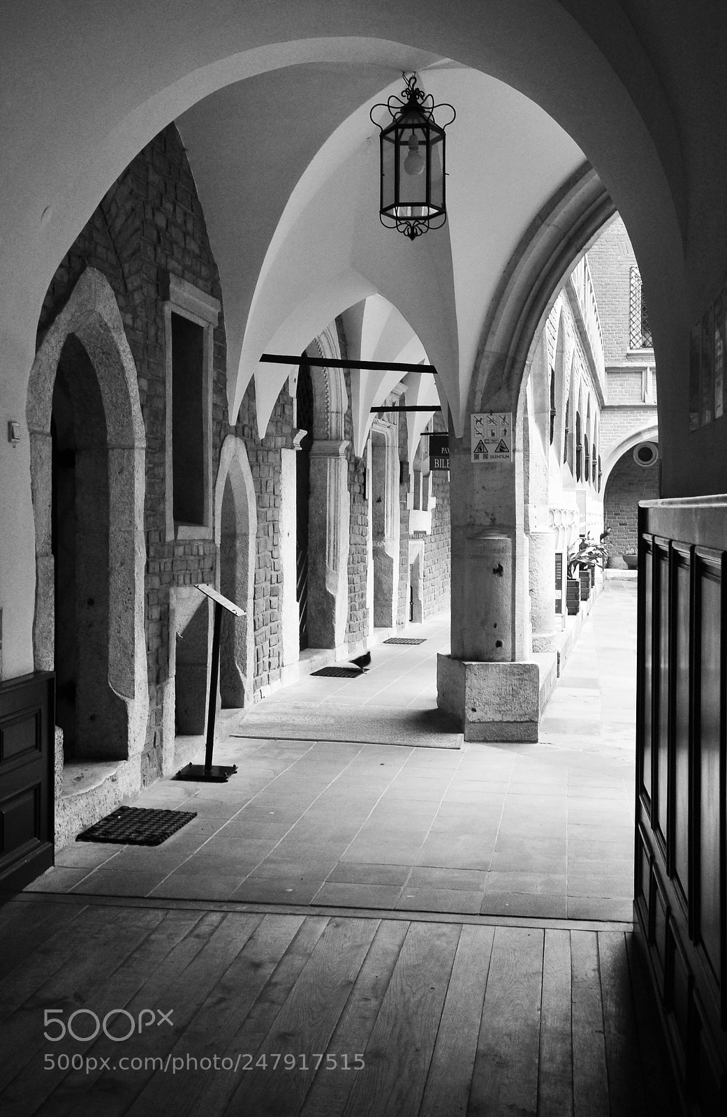 Nikon D90 sample photo. Gothic yard photography