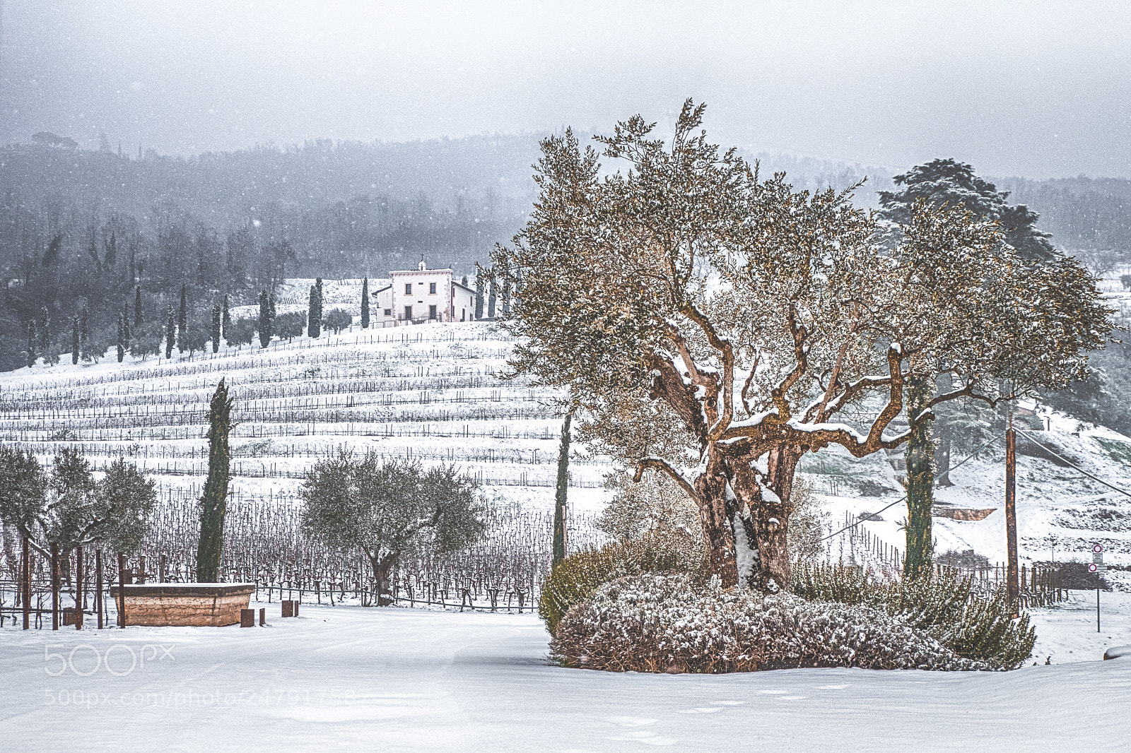 Fujifilm X-T20 sample photo. Snowy valpolicella photography