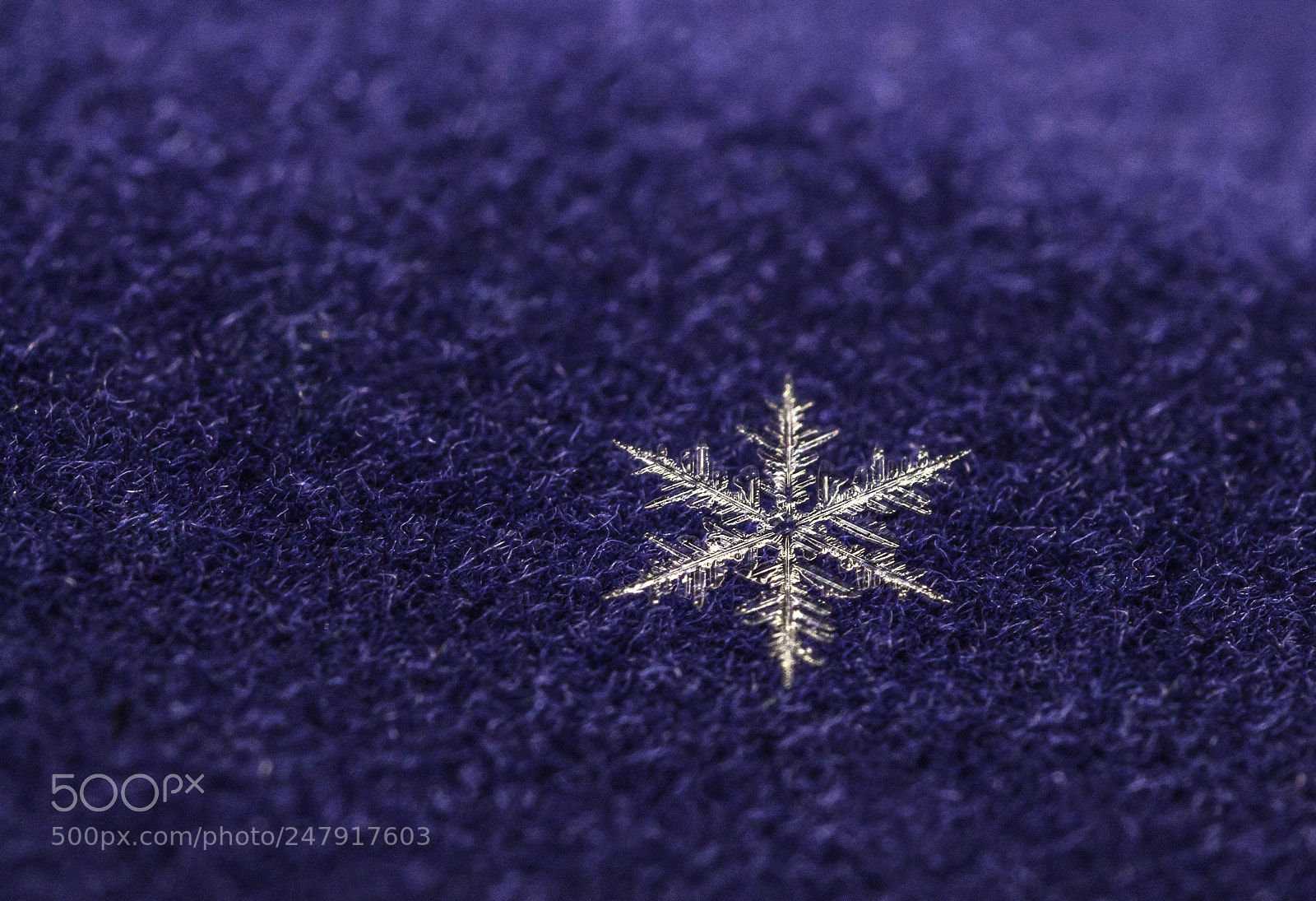 Canon EOS 1100D (EOS Rebel T3 / EOS Kiss X50) sample photo. A real snowflake #2 photography