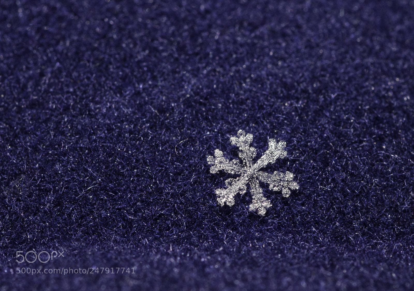 Canon EOS 1100D (EOS Rebel T3 / EOS Kiss X50) sample photo. A real snowflake #1 photography