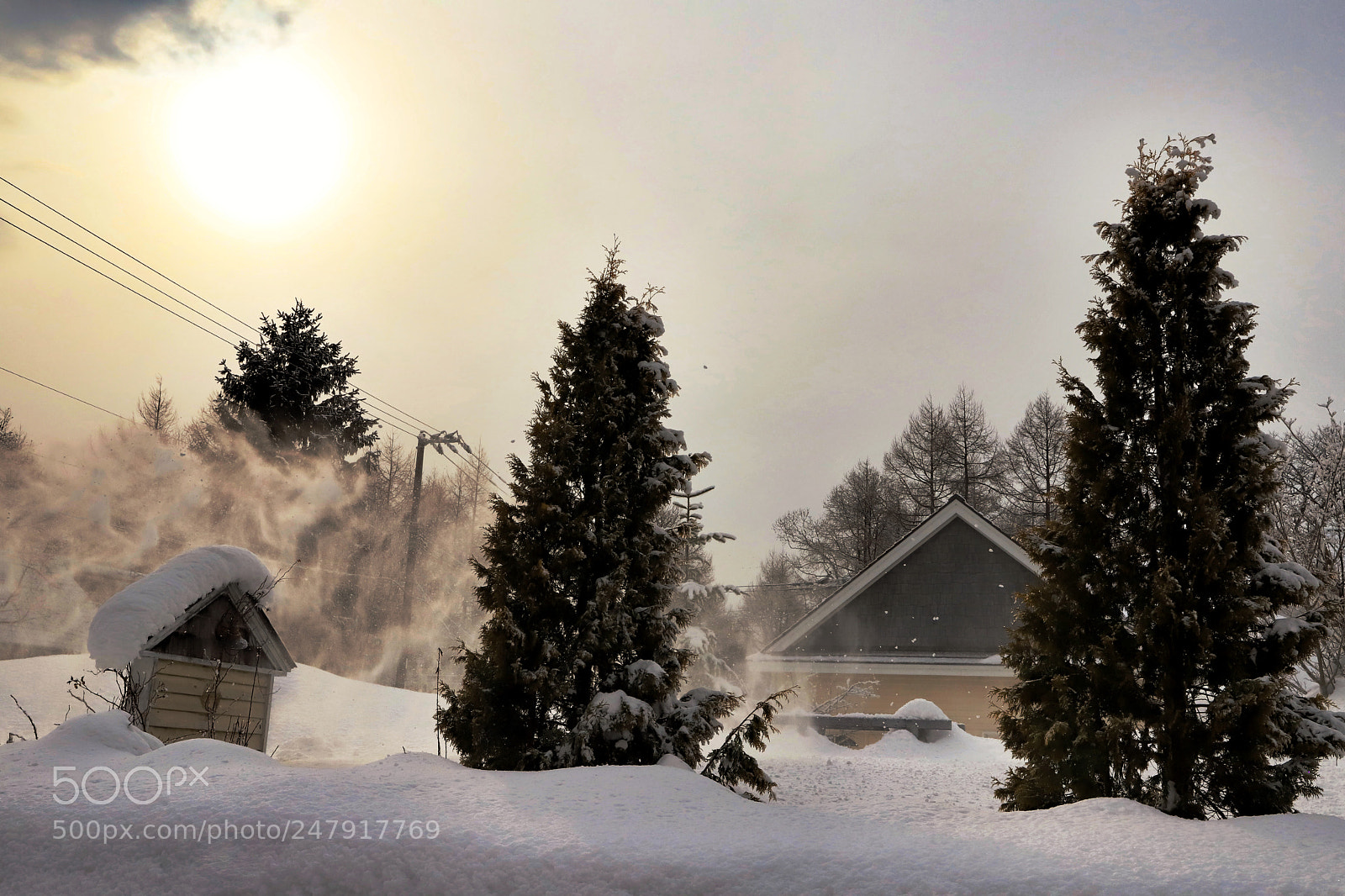 Canon EOS 6D Mark II sample photo. Untitled photography