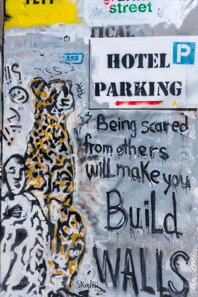 Nikon D850 sample photo. Israel and palestine 12 photography